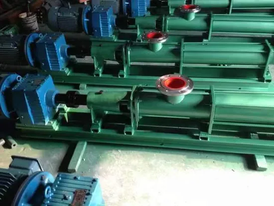 Edelstahl-Doppelschneckenpumpe/Parallelpumpe/Pumpe für viskose Flüssigkeiten